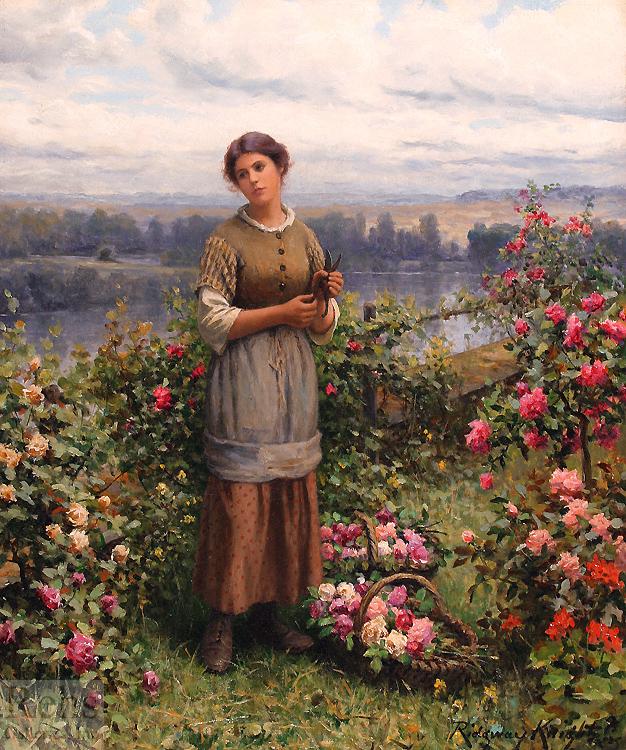 Daniel Ridgeway Knight Julia Gathering Roses oil painting image